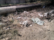 Жалоба-отзыв: Соседи - Вывалили мусор.  Фото №5