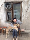Жалоба-отзыв: Астана Ветсервис - Убили, жестоко убили мою собаку.  Фото №1