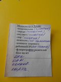 Жалоба-отзыв: Степногорская городская поликлиника - Вымогательство.  Фото №1